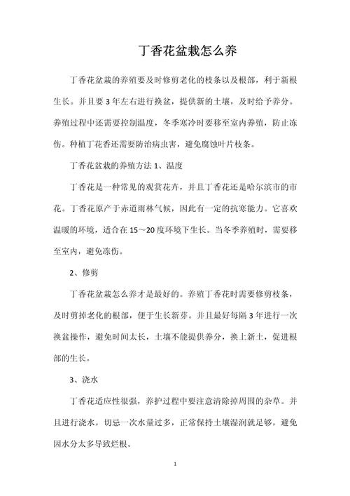 盆栽丁香花的养殖方法？丁香花盆景怎么养护？-第1张图片-优品飞百科