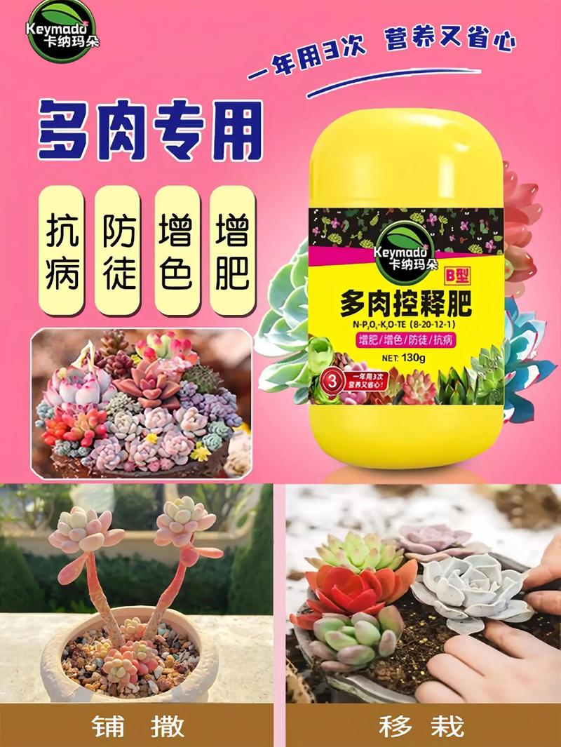 多肉可以用复合肥吗，多肉可以用复合肥施肥吗？-第3张图片-优品飞百科