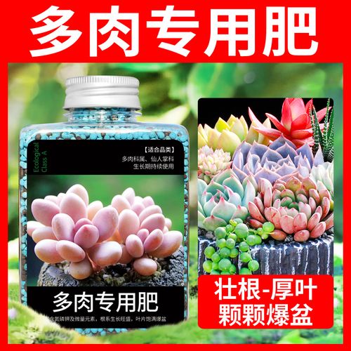 多肉可以用复合肥吗，多肉可以用复合肥施肥吗？-第2张图片-优品飞百科
