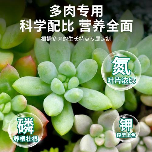 多肉可以用复合肥吗，多肉可以用复合肥施肥吗？-第6张图片-优品飞百科