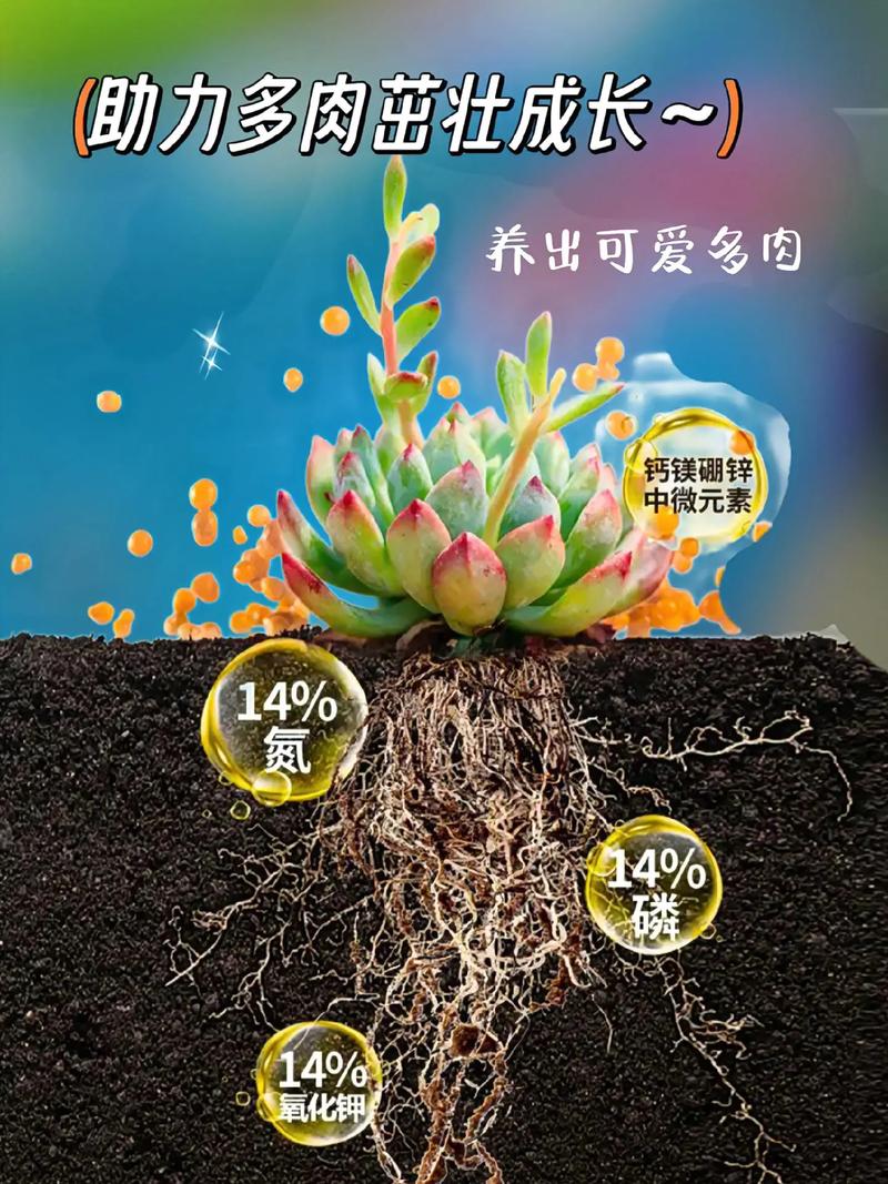 多肉可以用复合肥吗，多肉可以用复合肥施肥吗？-第8张图片-优品飞百科