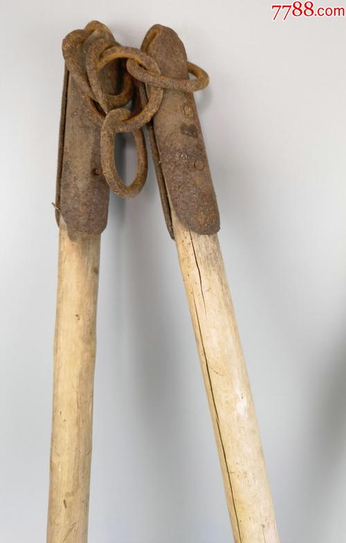 亚蜡木扦插方法,蜡木有几种-第4张图片-优品飞百科 亚蜡木扦插方法,蜡木有几种-第4张图片-优品飞百科