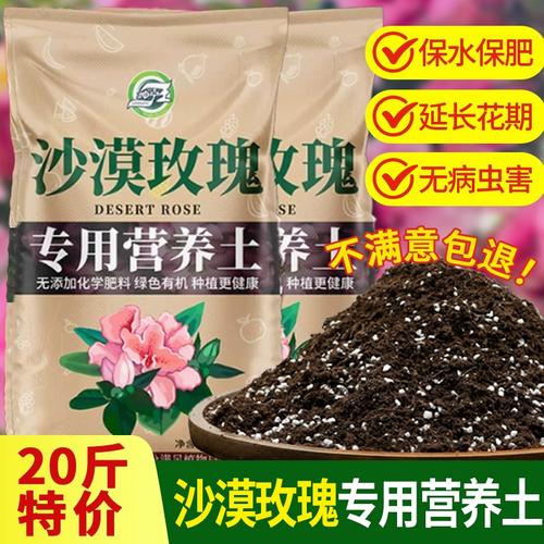 沙漠玫瑰养殖用什么土,沙漠玫瑰用什么土栽-第1张图片-优品飞百科 沙漠玫瑰养殖用什么土,沙漠玫瑰用什么土栽-第1张图片-优品飞百科