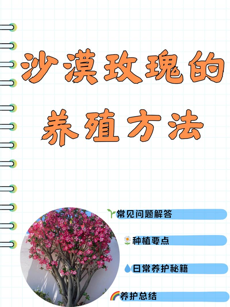 沙漠玫瑰养殖用什么土,沙漠玫瑰用什么土栽-第3张图片-优品飞百科 沙漠玫瑰养殖用什么土,沙漠玫瑰用什么土栽-第3张图片-优品飞百科