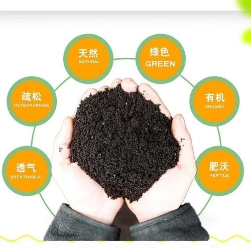 榕树用什么土栽培？榕树用什么土种植？-第4张图片-优品飞百科