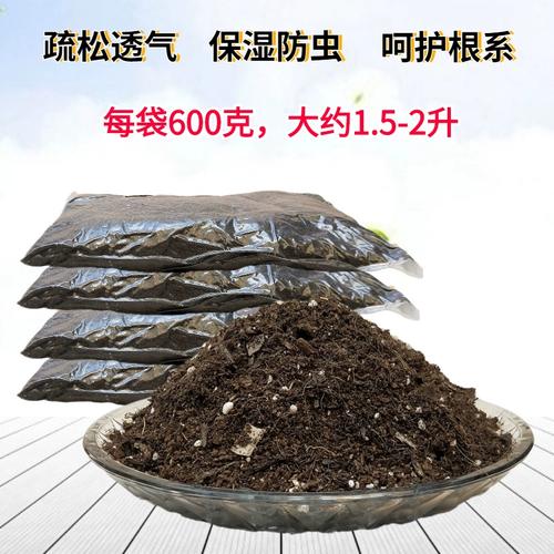 榕树用什么土栽培？榕树用什么土种植？-第5张图片-优品飞百科