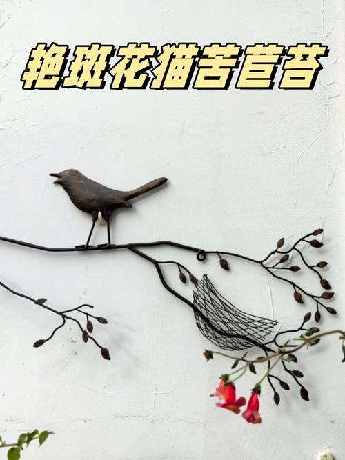 艳斑苣苔的种植方法？艳斑苣苔花猫？-第5张图片-优品飞百科