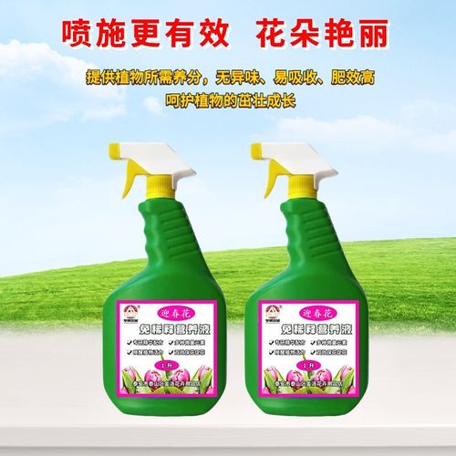 迎春花怎么施肥?迎春花怎么施肥??-第2张图片-优品飞百科 迎春花怎么施肥?迎春花怎么施肥??-第2张图片-优品飞百科