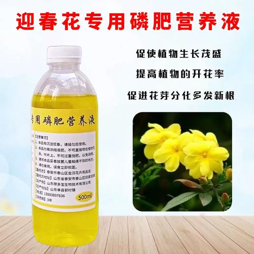 迎春花怎么施肥?迎春花怎么施肥??-第5张图片-优品飞百科 迎春花怎么施肥?迎春花怎么施肥??-第5张图片-优品飞百科