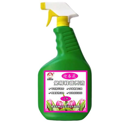 迎春花怎么施肥?迎春花怎么施肥??-第7张图片-优品飞百科 迎春花怎么施肥?迎春花怎么施肥??-第7张图片-优品飞百科