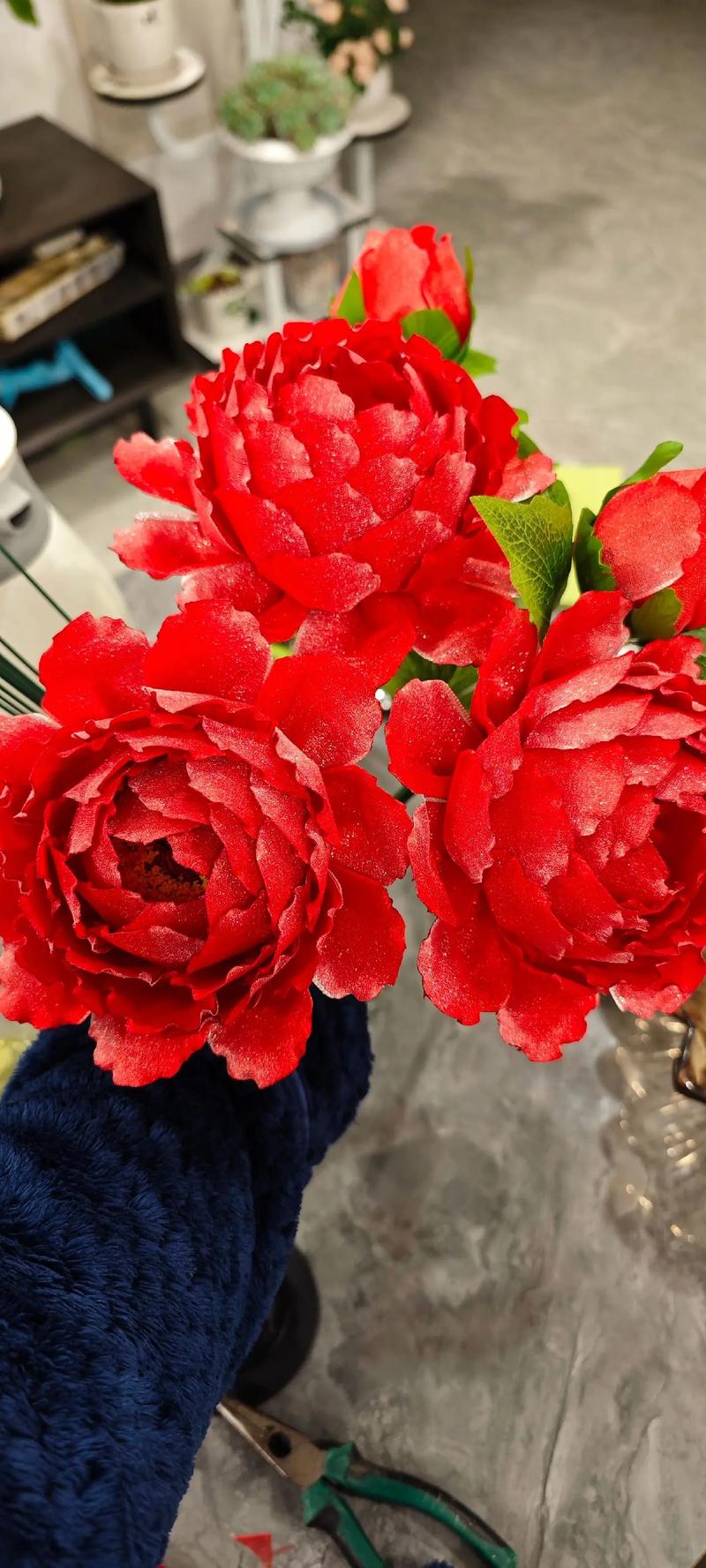 盆栽牡丹栽培和养护,盆栽牡丹花的养殖方法-第4张图片-优品飞百科 盆栽牡丹栽培和养护,盆栽牡丹花的养殖方法-第4张图片-优品飞百科