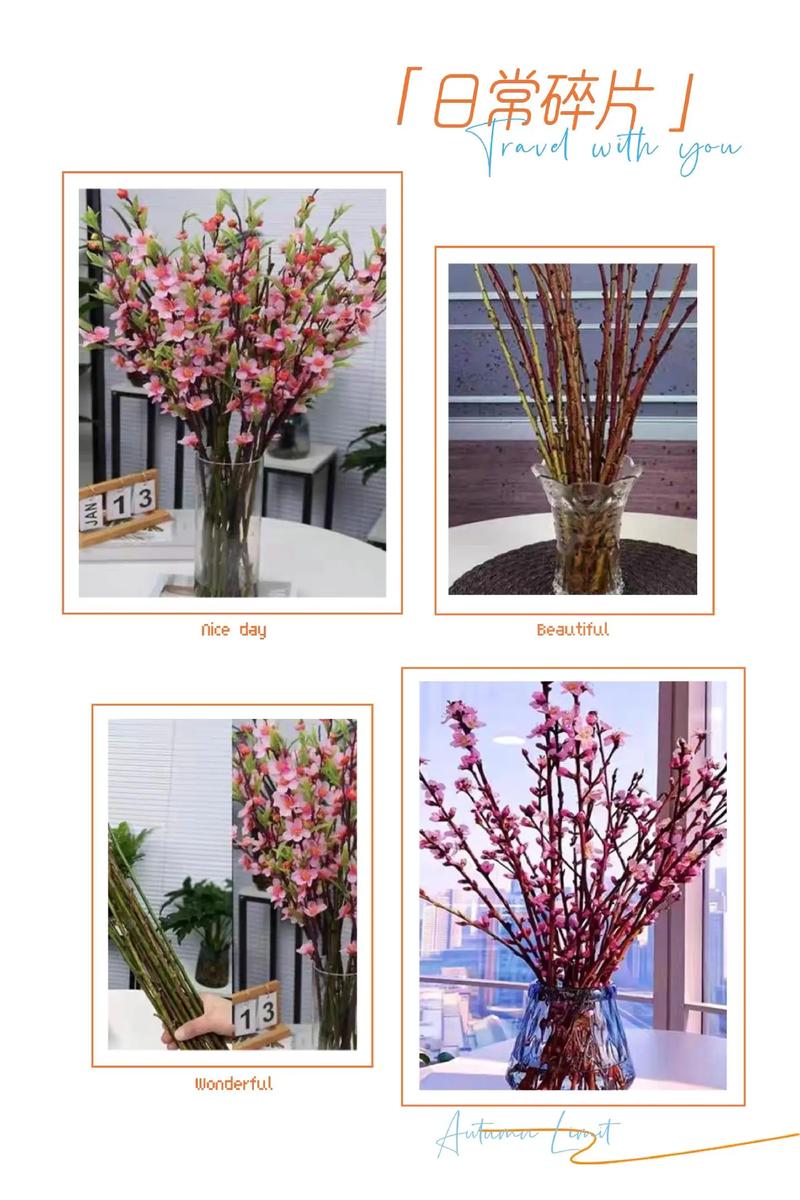 桃花什么时候施肥,桃花什么时候种-第2张图片-优品飞百科 桃花什么时候施肥,桃花什么时候种-第2张图片-优品飞百科