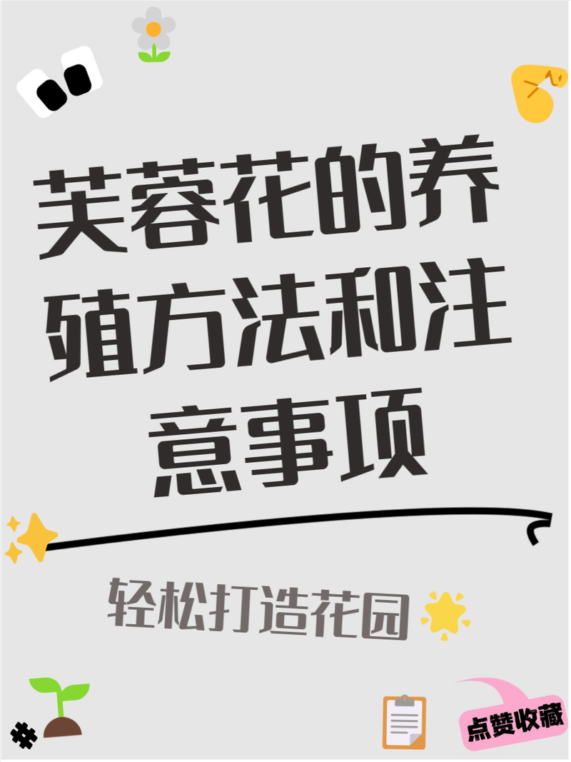 火烧花的养殖方法？火烧的做法和配方视频教程？-第5张图片-优品飞百科
