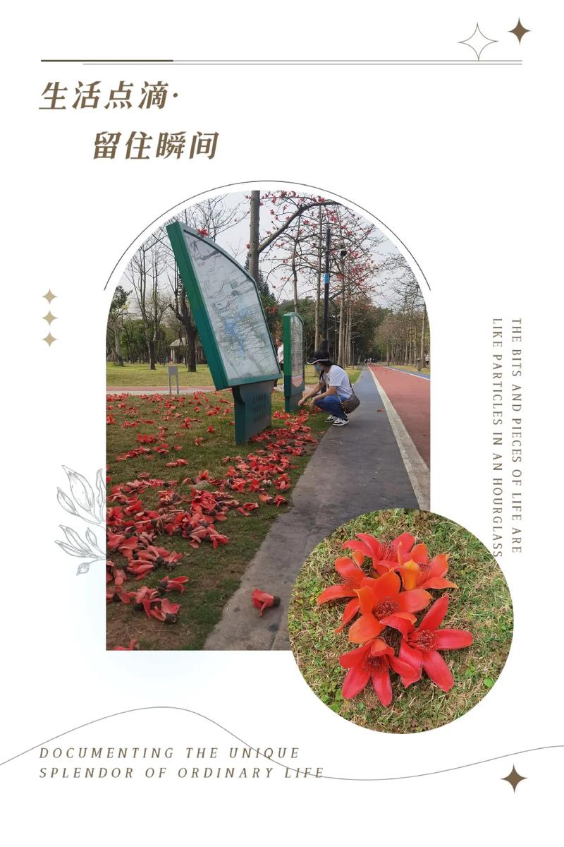 火烧花的养殖方法？火烧的做法和配方视频教程？-第7张图片-优品飞百科