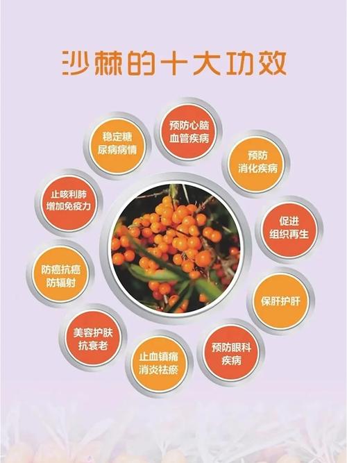 沙棘播种育苗技术，沙棘育种方法？-第5张图片-优品飞百科