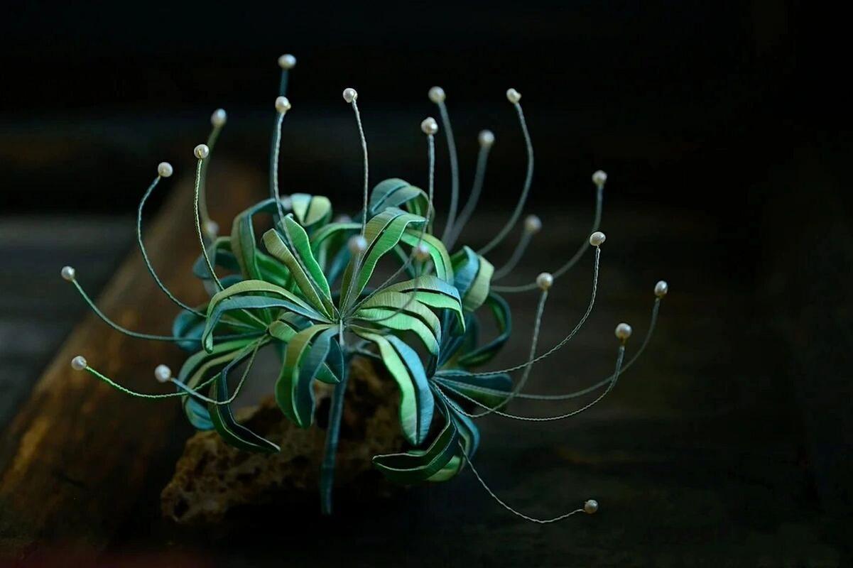 曼莎珠华秋天怎么养，曼莎珠华的叶子图片？-第6张图片-优品飞百科