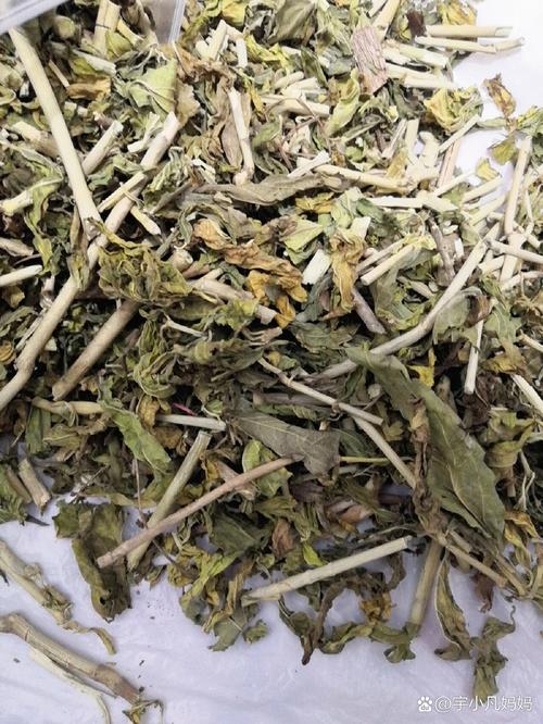 鳄嘴花怎么繁殖，鳄嘴花怎么繁殖视频-第3张图片-优品飞百科