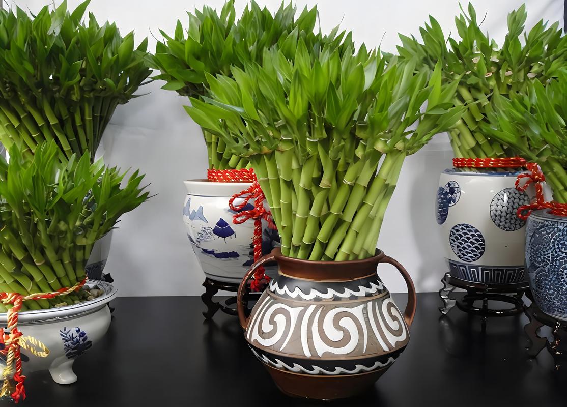 铜绿麒麟几天浇一次?铜绿麒麟怎么修剪好长得好看?-第2张图片-优品飞百科 铜绿麒麟几天浇一次?铜绿麒麟怎么修剪好长得好看?-第2张图片-优品飞百科