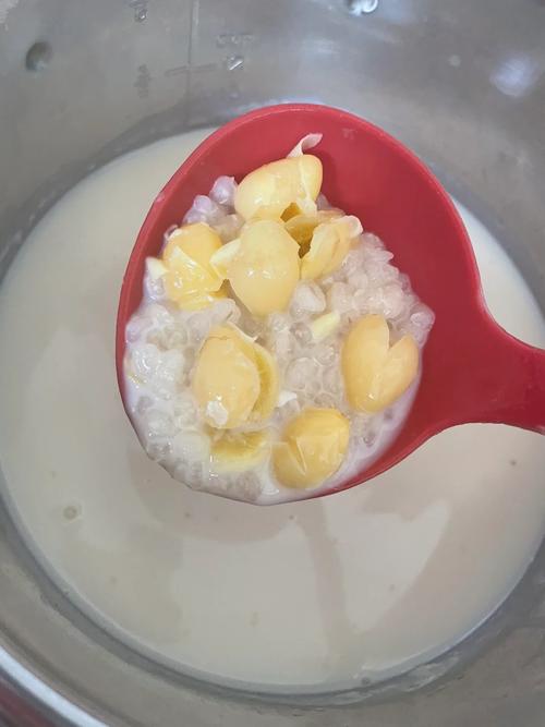 白果种子种植要去壳吗?白果内种皮?-第2张图片-优品飞百科 白果种子种植要去壳吗?白果内种皮?-第2张图片-优品飞百科