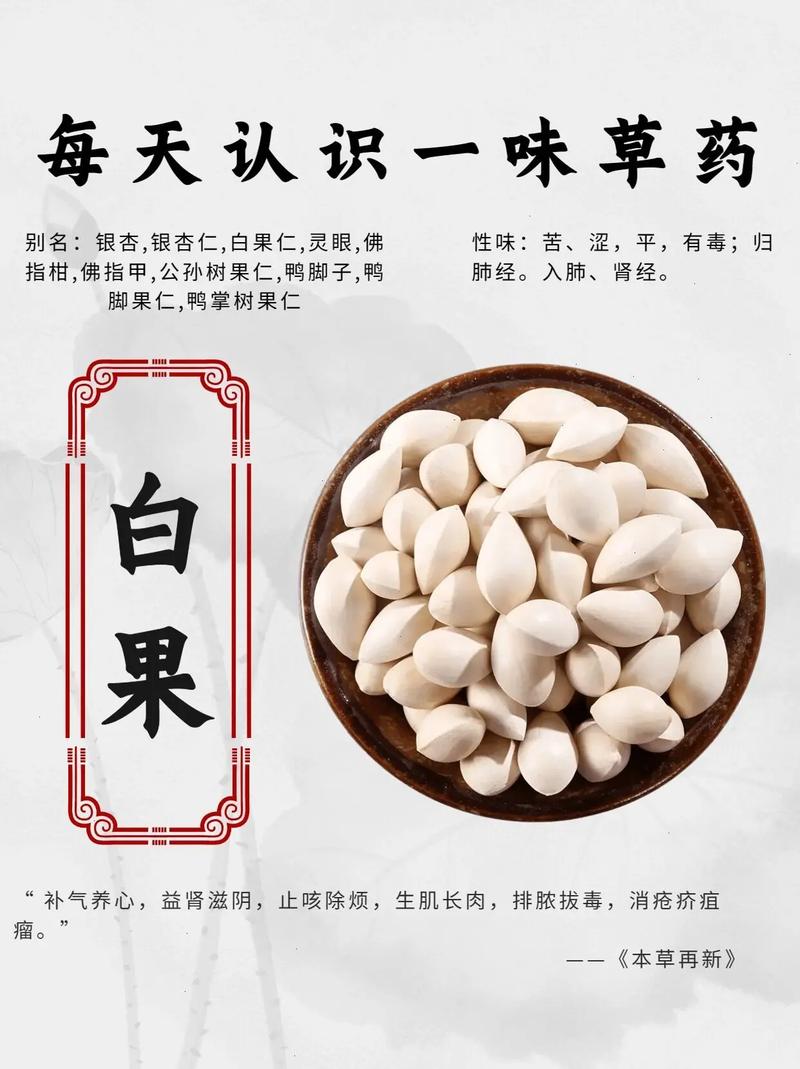 白果种子种植要去壳吗?白果内种皮?-第4张图片-优品飞百科 白果种子种植要去壳吗?白果内种皮?-第4张图片-优品飞百科