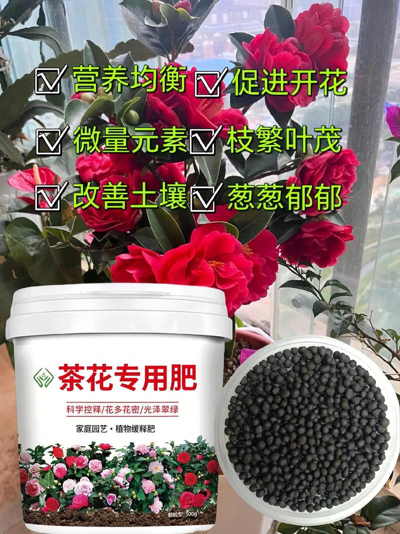 茶花施肥有妙招？茶花施肥有妙招吗视频？-第4张图片-优品飞百科