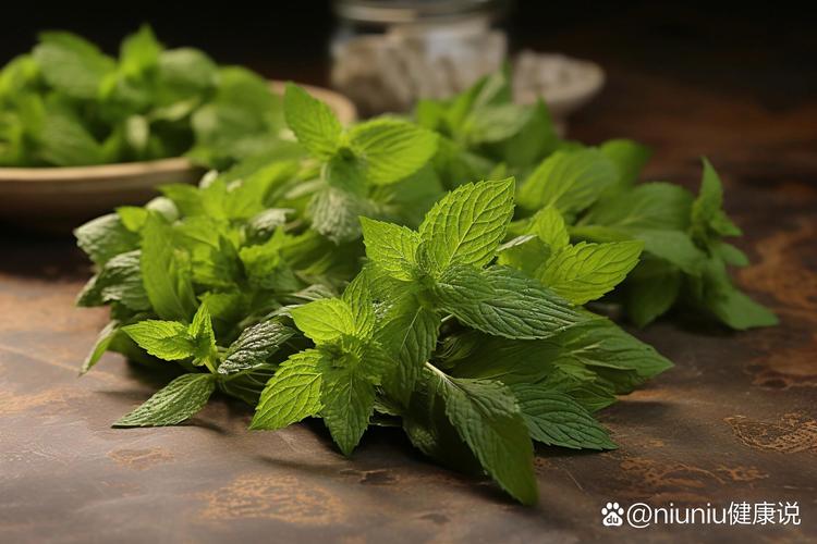 胡椒薄荷怎么养，胡椒薄荷盆栽-第8张图片-优品飞百科