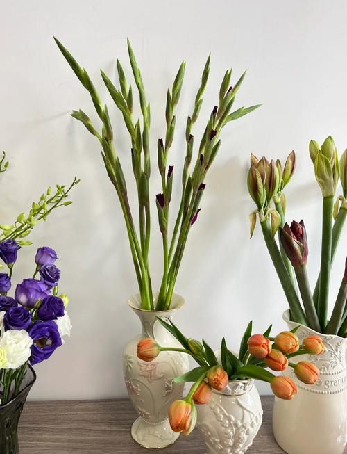 剑兰多久浇水？剑兰几天浇水？-第5张图片-优品飞百科