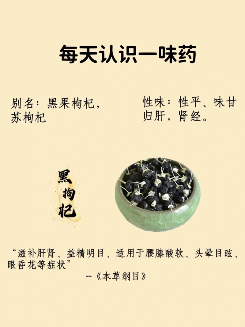 家里种盆“黑果”?黑果树盆景图片大全?-第4张图片-优品飞百科 家里种盆“黑果”?黑果树盆景图片大全?-第4张图片-优品飞百科