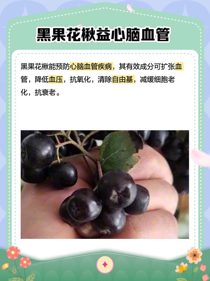 家里种盆“黑果”?黑果树盆景图片大全?-第7张图片-优品飞百科 家里种盆“黑果”?黑果树盆景图片大全?-第7张图片-优品飞百科