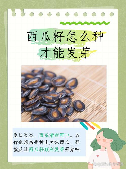 西瓜什么时候种，什么时候种西瓜比较好季节？-第6张图片-优品飞百科