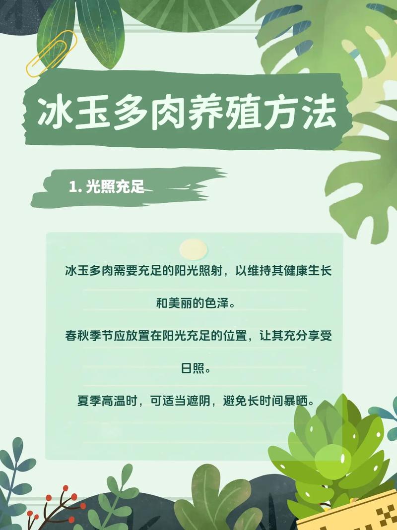 冰灯玉露冬季怎么养，冰灯玉露冬天怎么养?-第2张图片-优品飞百科