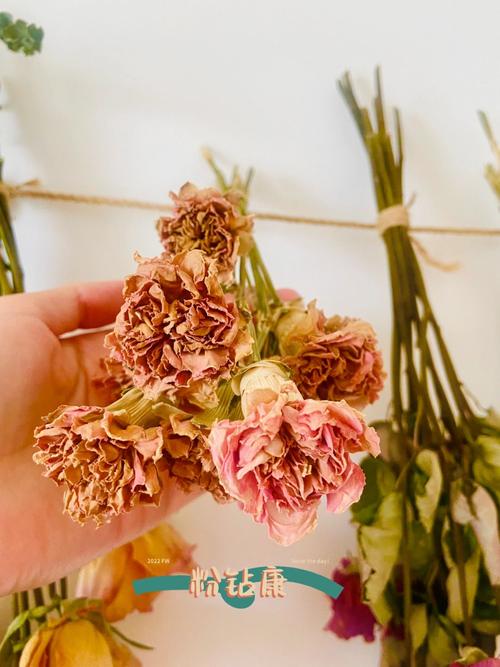 花谢后这么做？花谢了是什么意思啊？-第2张图片-优品飞百科