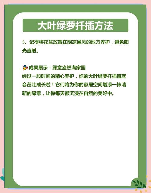 大叶绿萝扦插步骤图解？大叶绿萝插扦方法？-第5张图片-优品飞百科