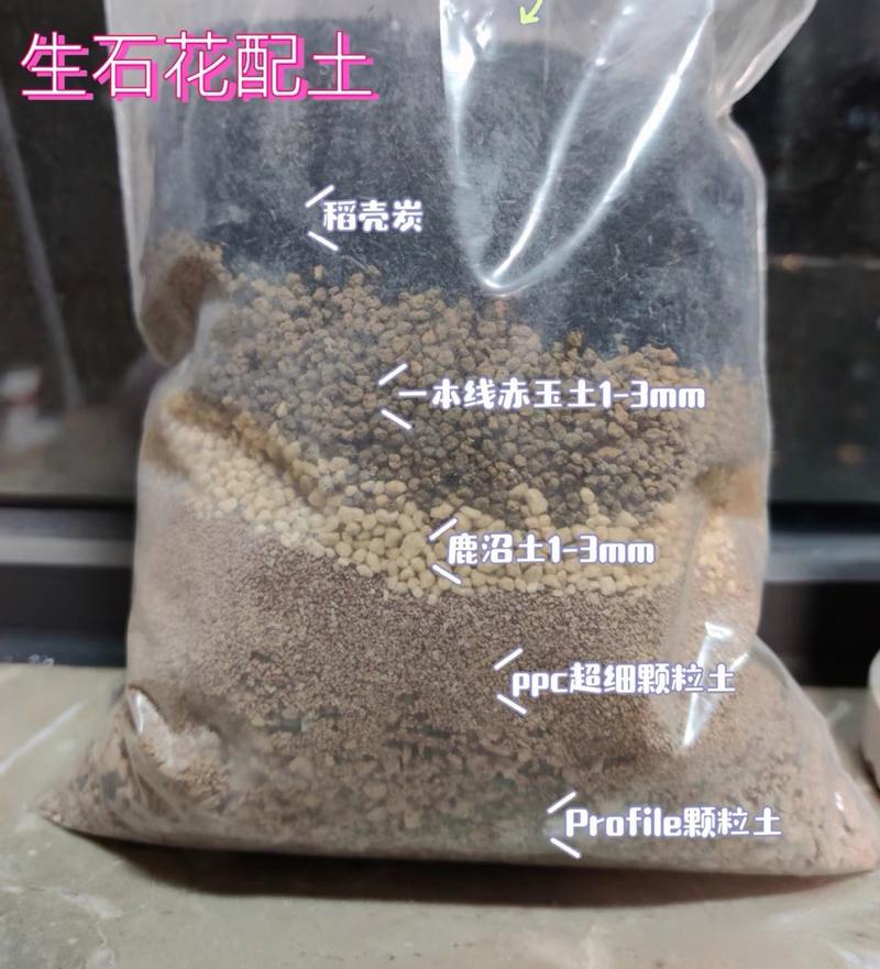 生石花怎么繁殖？生石花怎么繁殖后代？-第6张图片-优品飞百科