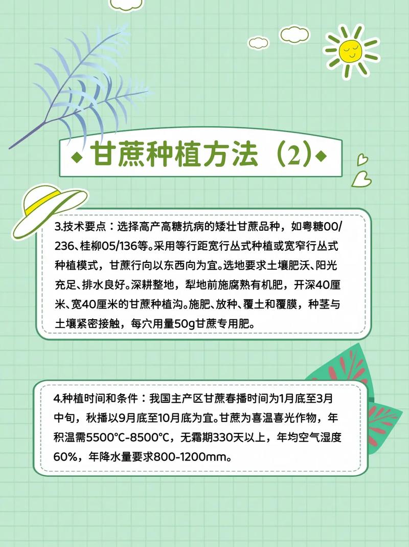 甘蔗的养殖方法？甘蔗种植方法和怎么样施肥？-第2张图片-优品飞百科