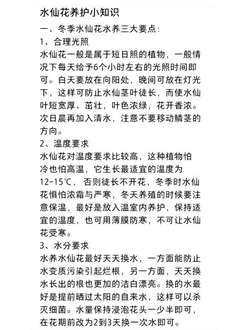 水仙花怎么养好，水仙花怎么养家庭养法？-第2张图片-优品飞百科