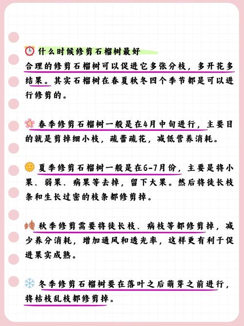 “石榴”树枝剪1刀，石榴枝怎么剪-第3张图片-优品飞百科