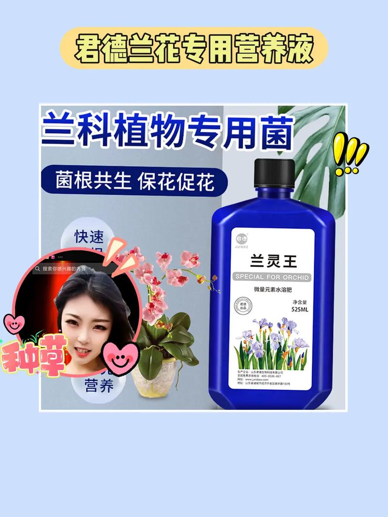 淘米水自制水培营养液，淘米水兑点营养液能浇花吗？-第4张图片-优品飞百科