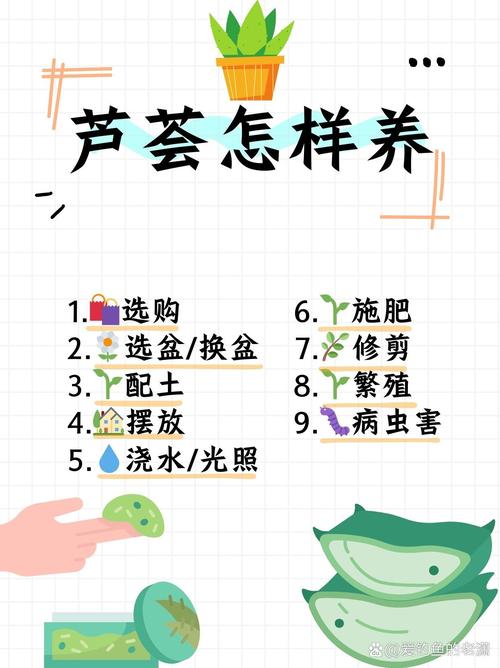 芦荟如何实现爆盆，芦荟如何实现爆盆视频-第6张图片-优品飞百科