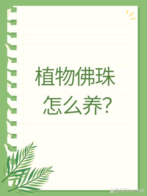 佛珠花的养殖方法？佛珠花的作用？-第1张图片-优品飞百科