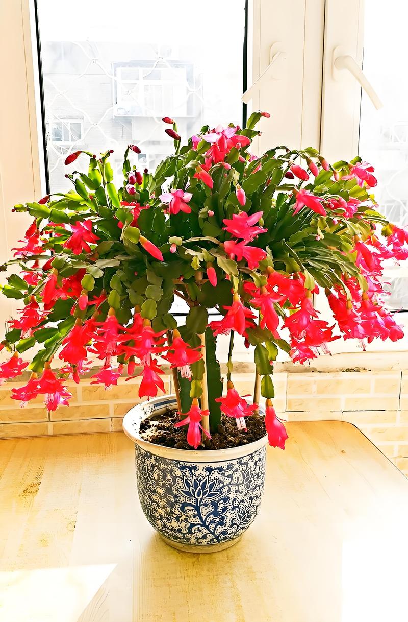 1把刀1个盆，一把刀柄？-第8张图片-优品飞百科