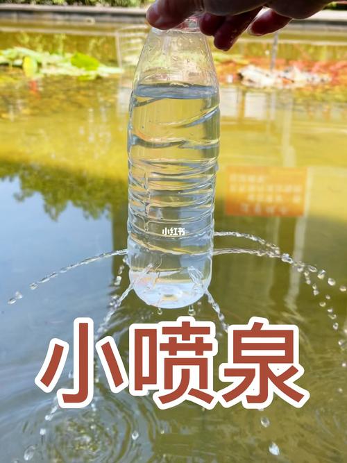喝完的“矿泉水瓶”别扔？矿泉水瓶子喝完后可以装水喝吗？-第3张图片-优品飞百科