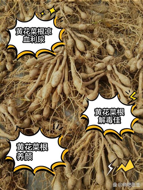 黄花菜的养殖方法，黄花菜的养殖方法和管理？-第2张图片-优品飞百科
