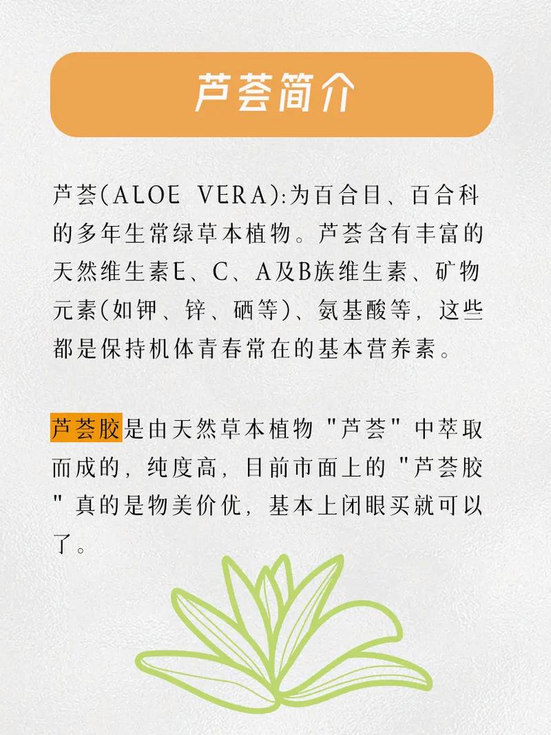 芦荟怎么养殖方法?芦荟怎么养才能更旺盛,芦荟养殖方法介绍?-第5张图片-优品飞百科 芦荟怎么养殖方法?芦荟怎么养才能更旺盛,芦荟养殖方法介绍?-第5张图片-优品飞百科