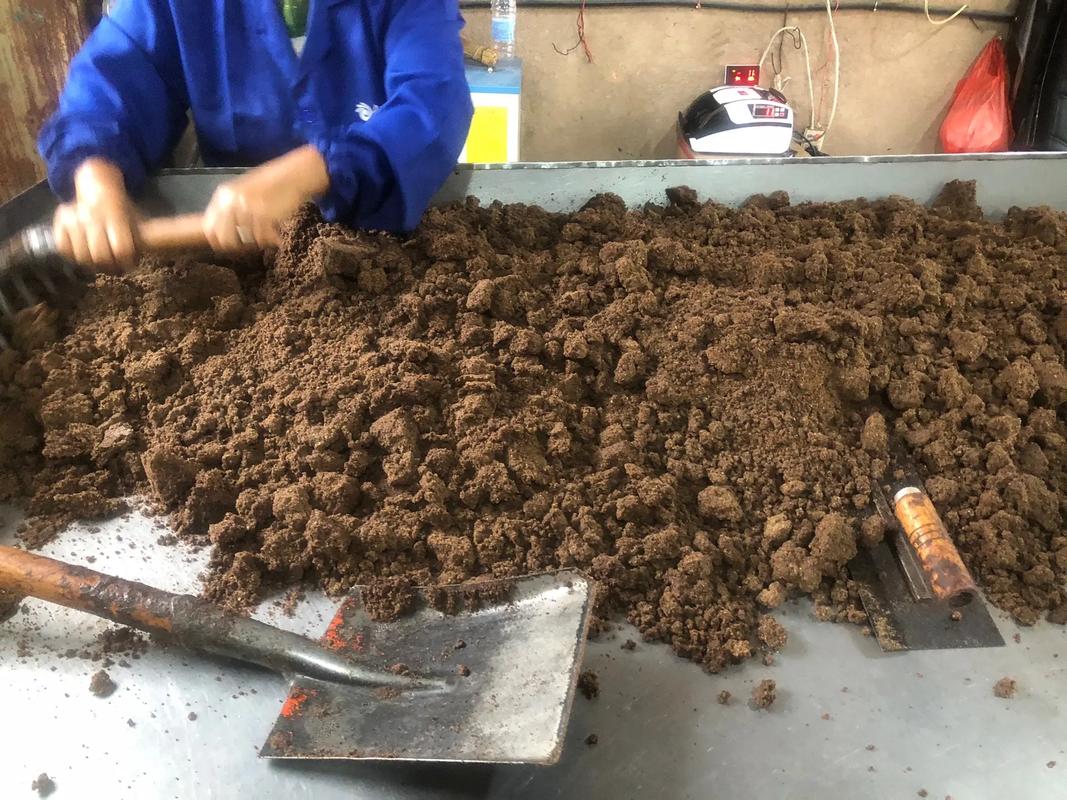 油茶树适合哪种种植，油茶树适合哪种种植环境-第2张图片-优品飞百科