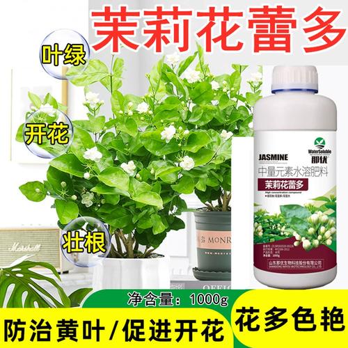 茉莉怎么施肥？茉莉怎样施肥？-第4张图片-优品飞百科