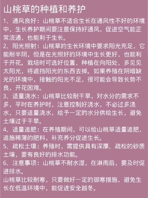 山桃草怎么养，山桃草养久了会得白血病吗？-第6张图片-优品飞百科