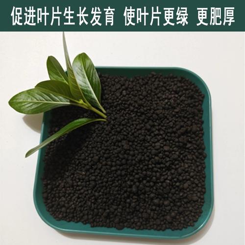 怎样让一叶兰长得高,如何让一叶兰长高-第4张图片-优品飞百科 怎样让一叶兰长得高,如何让一叶兰长高-第4张图片-优品飞百科