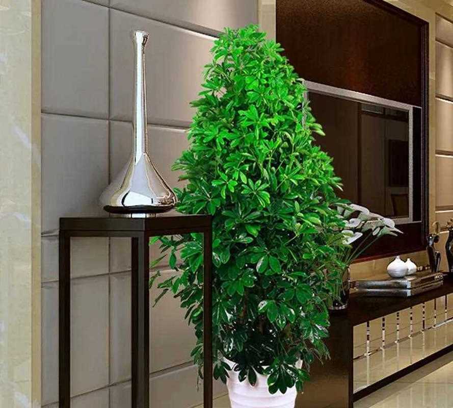 掌握这简单的四点，简单到极致就是绝招？-第6张图片-优品飞百科