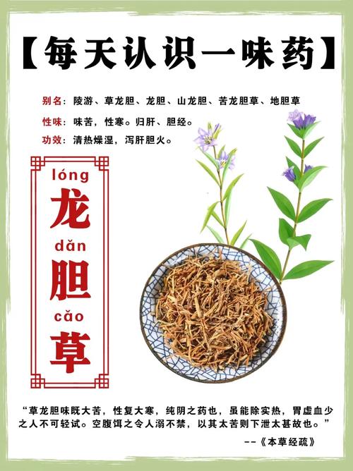 龙胆草怎么养，龙胆草花怎么养-第8张图片-优品飞百科